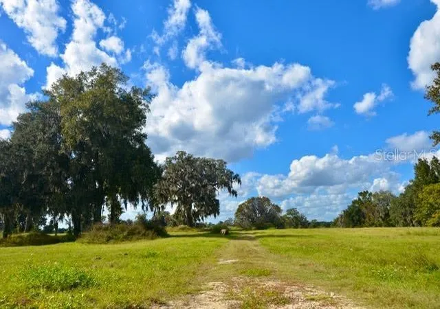 Photo 3 of Land for sale at 11750 Se 22nd Avenue Rd, Ocala, FL 34473 | MLS# OM714004 | Listing updated on 2026-08-13