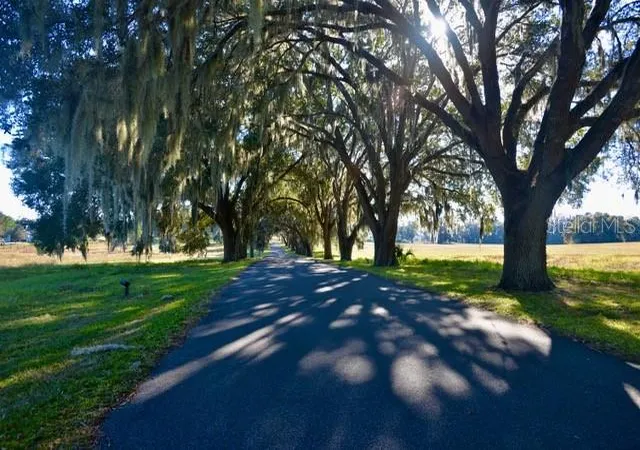 Photo 4 of Land for sale at 11750 SE 22nd Avenue Rd, Ocala, FL 34473 | MLS# OM714004 | Listing updated on 2026-08-13