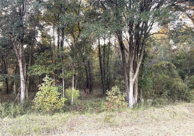 Photo 1 of Land for sale at Nw 145th Ave Lot 25, Williston, FL 32696 | MLS# OM714031 | Listing updated on 2026-05-31