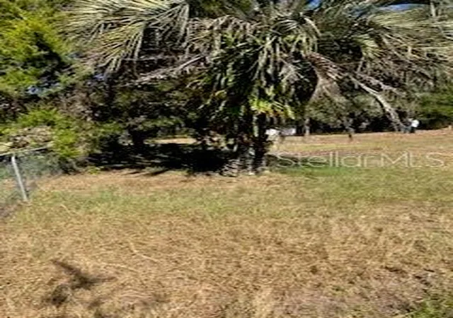 Photo 4 of Land for sale at 126 Yeatts Ave, Interlachen, FL 32148 | MLS# GC535631 | Listing updated on 2025-12-18