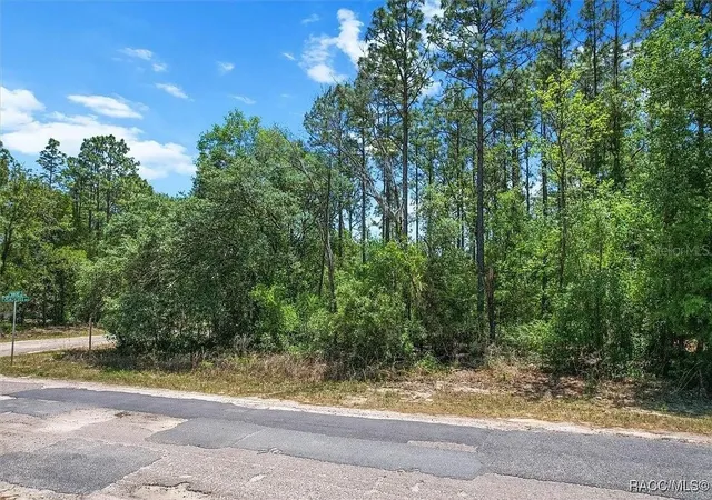 Photo 3 of Land for sale at 9410 N Peachtree Way, Citrus Springs, FL 34434 | MLS# TB8450769 | Listing updated on 2025-11-24