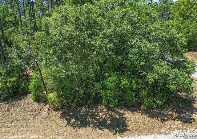 Photo 4 of Land for sale at 9410 N Peachtree Way, Citrus Springs, FL 34434 | MLS# TB8450769 | Listing updated on 2025-11-24