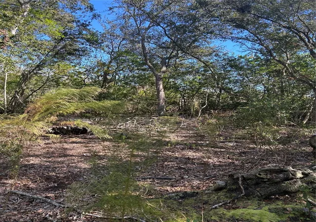 3rd image of 7740 E Smoke Trl, Inverness, FL 34453 | MLS# W7881004