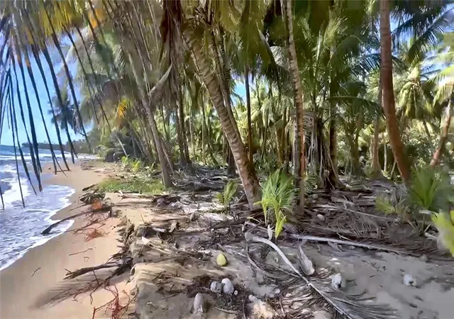 Photo 9 of Land for sale at Beach Front Punta Guilarte, Arroyo, PR 00714 | MLS# PR9117598 | Listing updated on 2026-08-20