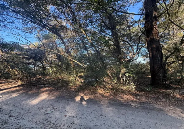 2nd image of 148th Ct Sw 32nd Pl, Ocala, FL 34481 | MLS# OM714155