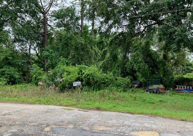 Photo 3 of Land for sale at Se 21st Place Rd, Silver Springs, FL 34488 | MLS# G5104945 | Listing updated on 2026-06-29