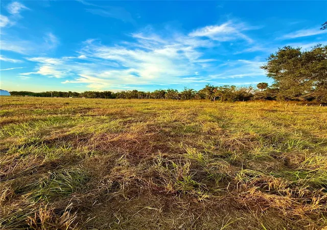 3rd image of 2902 Se Piggyback Rd, Arcadia, FL 34266 | MLS# A4673434
