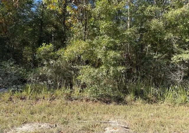 Photo 1 of Land for sale at 108th Avenue Ne, Bronson, FL 32621 | MLS# GC535697 | Listing updated on 2025-11-27