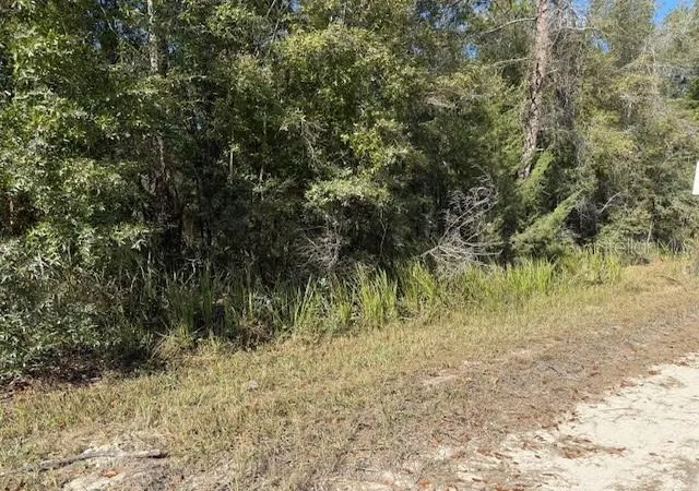 Photo 2 of Land for sale at 108th Avenue Ne, Bronson, FL 32621 | MLS# GC535697 | Listing updated on 2025-11-27