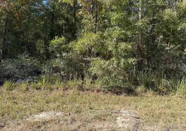 Photo 3 of Land for sale at 108th Avenue Ne, Bronson, FL 32621 | MLS# GC535697 | Listing updated on 2025-11-27