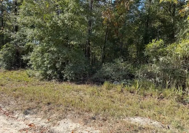 Photo 4 of Land for sale at 108th Avenue Ne, Bronson, FL 32621 | MLS# GC535697 | Listing updated on 2025-11-27