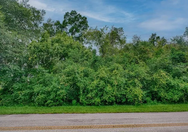 Photo 3 of Land for sale at Southeast 9th Ave, Starke, FL 32091 | MLS# O6363632 | Listing updated on 2025-11-28