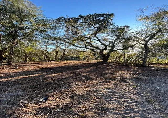 Photo 2 of Land for sale at Hagar Dr, New Port Richey, FL | MLS# TB8451996 | Listing updated on 2026-09-17
