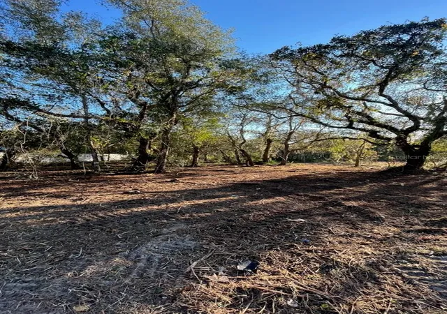 Photo 3 of Land for sale at Hagar Dr, New Port Richey, FL | MLS# TB8451996 | Listing updated on 2026-09-17