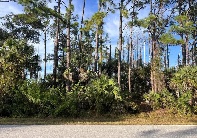 Photo 3 of Land for sale at 13486 Chamberlain Blvd, Port Charlotte, FL 33953 | MLS# A4673582 | Listing updated on 2026-05-30