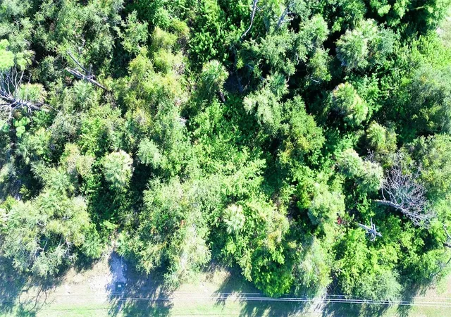 Photo 3 of Land for sale at 199 Cougar Way, Rotonda West, FL 33947 | MLS# C7518424 | Listing updated on 2026-07-17