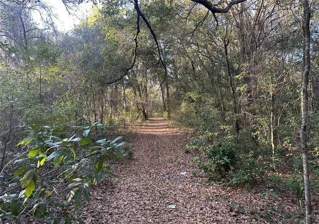 Photo 2 of Land for sale at Thomas Ave, Leesburg, FL 34748 | MLS# G5105054 | Listing updated on 2026-09-25