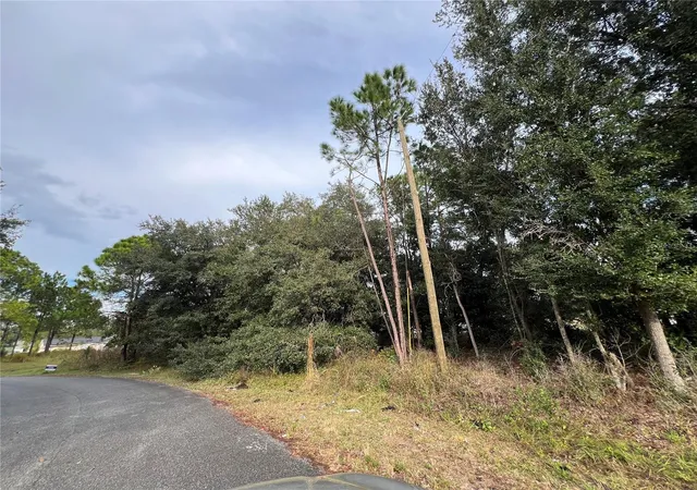 Photo 1 of Land for sale at 110 Sail Way, Kissimmee, FL 34759 | MLS# S5139448 | Listing updated on 2026-04-06