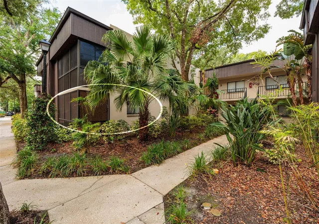 3rd image of 11708 Raintree Vlg Blvd, TEMPLE TERRACE, FL 33617