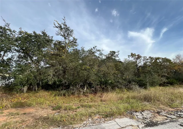 Photo 1 of Land for sale at 1205 Alafia Way, Kissimmee, FL 34759 | MLS# S5139453 | Listing updated on 2026-04-06