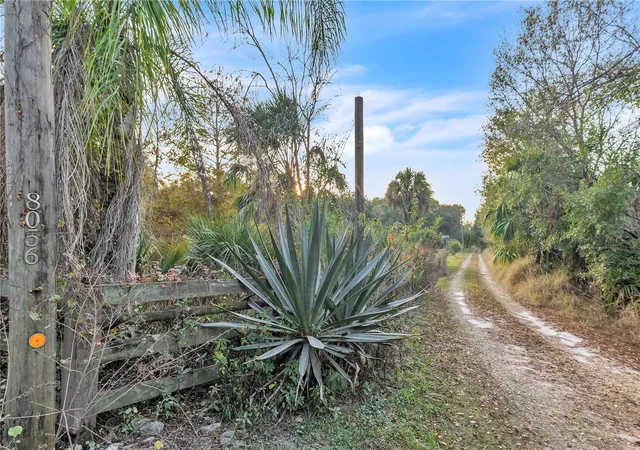5th image of 8056 Sw Horse Creek Rd, Arcadia, FL 34266 | MLS# C7518555