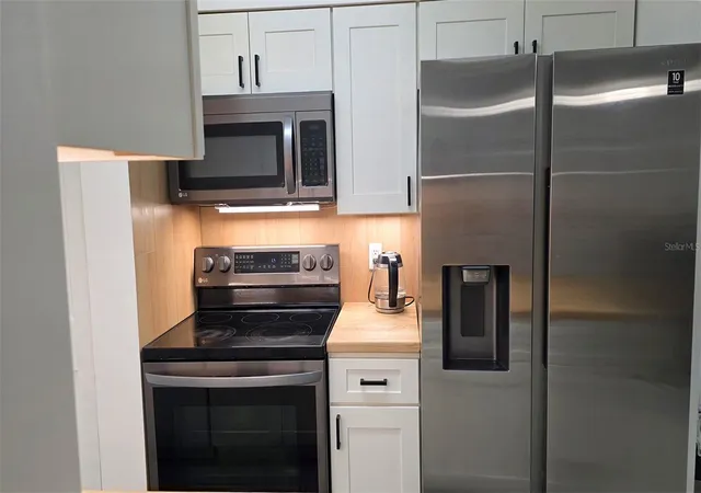 3rd image of 206 Berry Tree Pl, BRANDON, FL 33510
