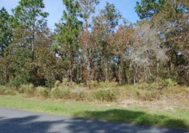 Photo 2 of Land for sale at 2084 W Riley Dr, Dunnellon, FL 34434 | MLS# O6364824 | Listing updated on 2026-05-14