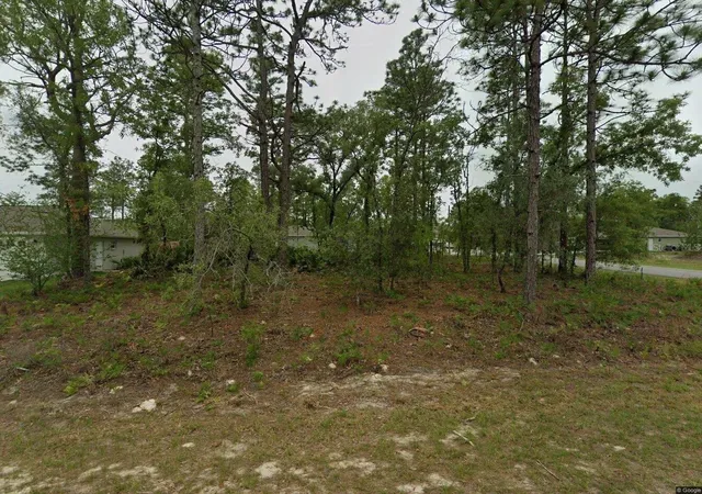 Photo 3 of Land for sale at 2084 W Riley Dr, Dunnellon, FL 34434 | MLS# O6364824 | Listing updated on 2026-05-14