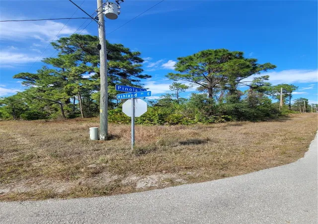 5th image of 236 Pinola Ave S, Lehigh Acres, FL 33974 | MLS# TB8454062