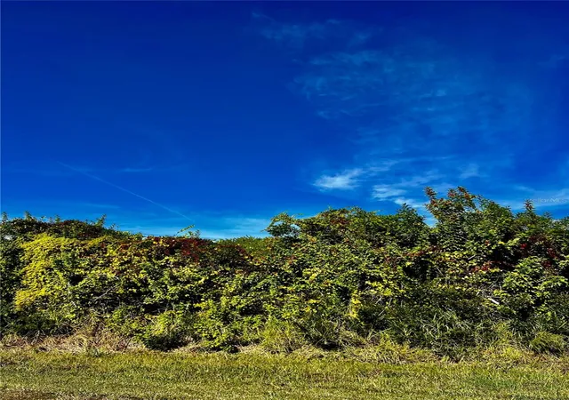 Photo 2 of Land for sale at 10245 Winstead Ave, Englewood, FL 34224 | MLS# A4674290 | Listing updated on 2025-12-06