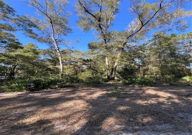1st image of Tbd Se 179th Pl, Summerfield, FL 34491 | MLS# OM714627