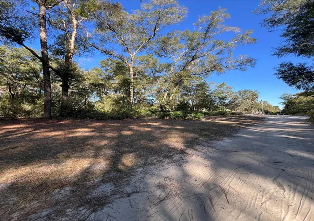 2nd image of Tbd Se 179th Pl, Summerfield, FL 34491 | MLS# OM714627