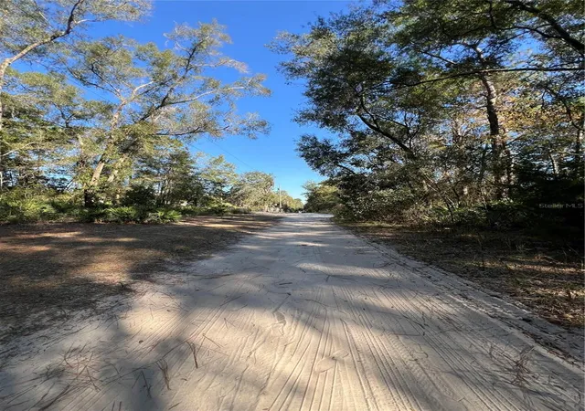3rd image of Tbd Se 179Th Pl, Summerfield, FL 34491 | MLS# OM714627