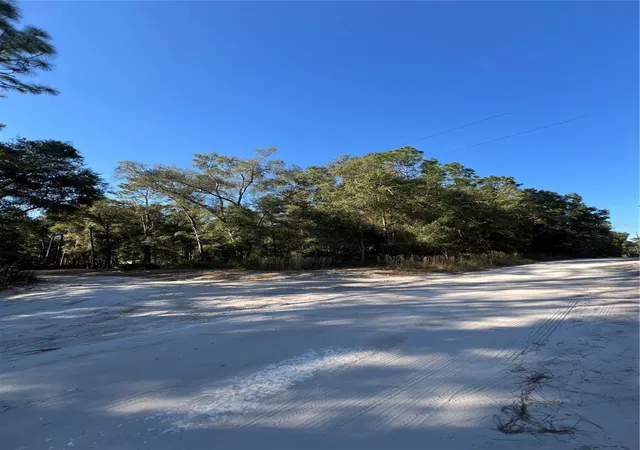 5th image of Tbd Se 179th Pl, Summerfield, FL 34491 | MLS# OM714627