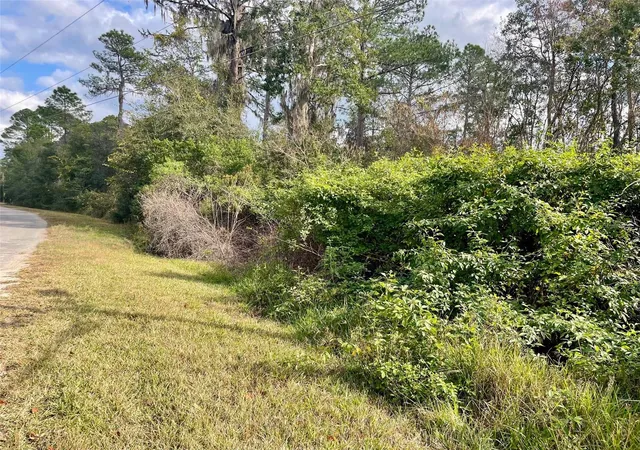 2nd image of 000 Fisher Run, Ocklawaha, FL 32179 | MLS# OM714628