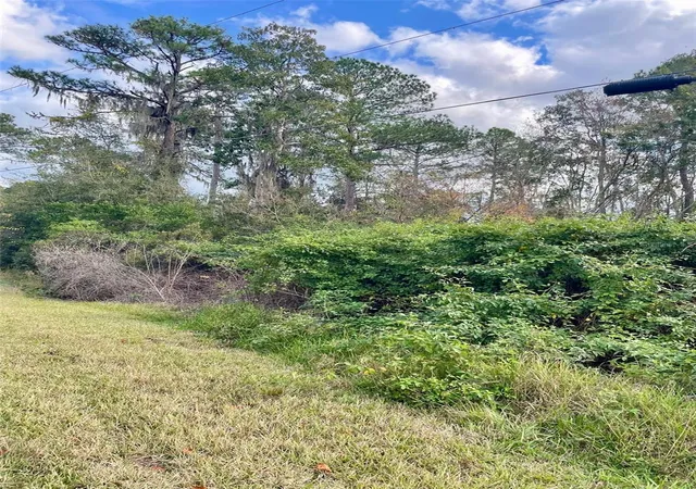 4th image of 000 Fisher Run, Ocklawaha, FL 32179 | MLS# OM714628