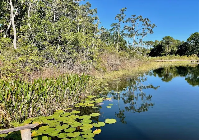 5th image of 000 Fisher Run, Ocklawaha, FL 32179 | MLS# OM714628