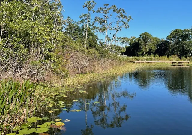 8th image of 000 Fisher Run, Ocklawaha, FL 32179 | MLS# OM714628