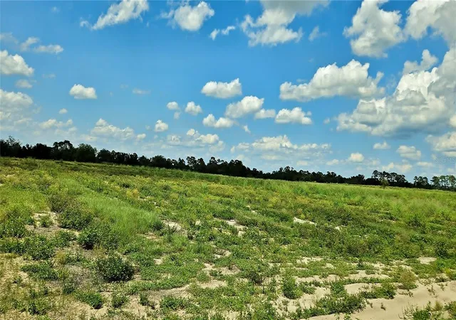 4th image of Mammoth Grove Rd, Lake Wales, FL 33898 | MLS# L4957735