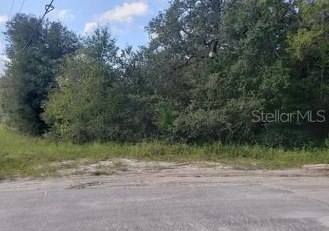 4th image of 341 S County Road 315, Interlachen, FL 32148 | MLS# OM714643