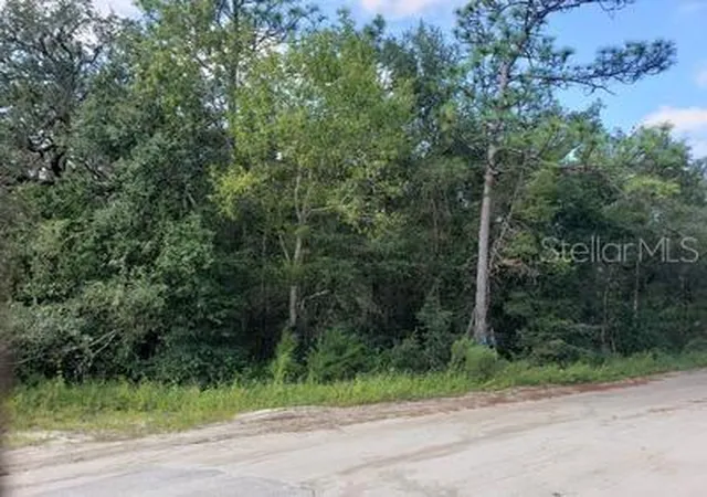5th image of 341 S County Road 315, Interlachen, FL 32148 | MLS# OM714643