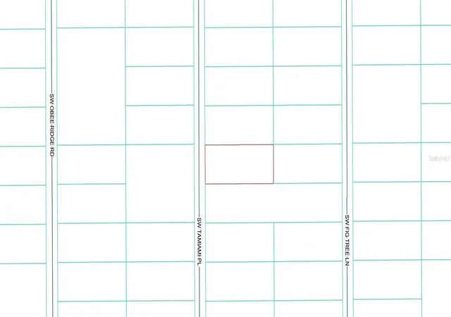 Photo 3 of Land for sale at 0 Sw Tbd Tamiami Pl, Dunnellon, FL 34431 | MLS# OM714644 | Listing updated on 2026-05-19