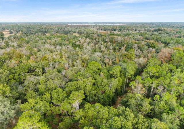 11th image of Se 225th Dr, Hawthorne, FL 32640 | MLS# GC535872