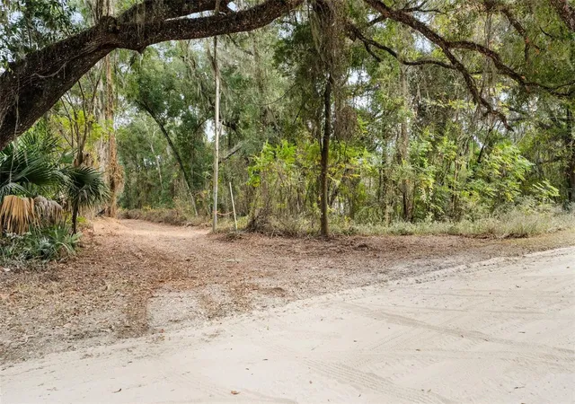 4th image of Se 225Th Dr, Hawthorne, FL 32640 | MLS# GC535872