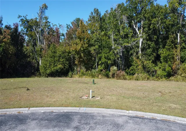 Photo 2 of Land for sale at 0 Forest Glenn Dr, Spring Hill, FL 34607 | MLS# W7881243 | Listing updated on 2026-04-20