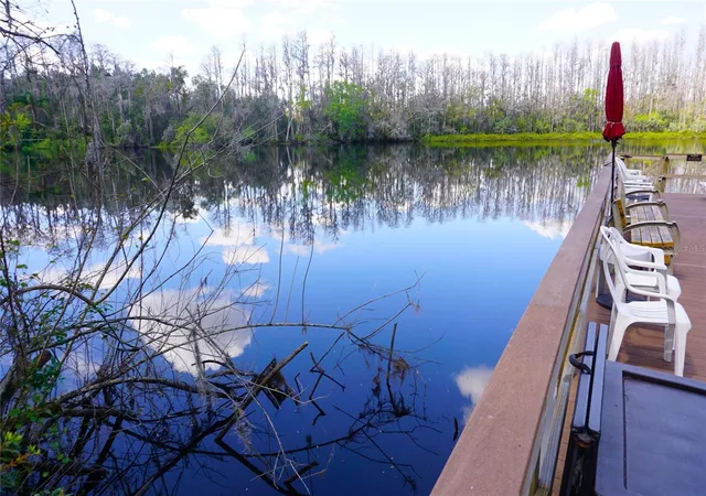 Homes for sale in Lutz, FL | 20921 Haulover Cove, Lutz, FL 33558 | Houzeo