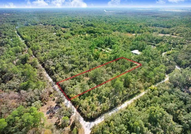 Photo 4 of Land for sale at 7292 Sonia Ave, Webster, FL 33597 | MLS# TB8454400 | Listing updated on 2026-09-05