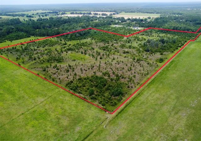 Photo 3 of Land for sale at Tbd Cr 235, Brooker, FL 32622 | MLS# GC535910 | Listing updated on 2026-08-13