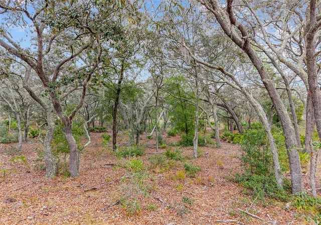 4th image of Ne 131 Pl, Archer, FL 32618 | MLS# GC535930