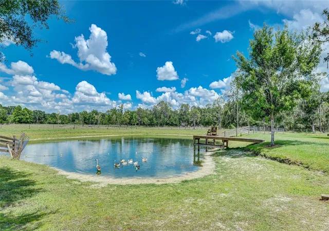 Homes for sale in Sarasota, FL | 560 Oakford Rd, Sarasota, FL 34240 | MLS# A4674764
